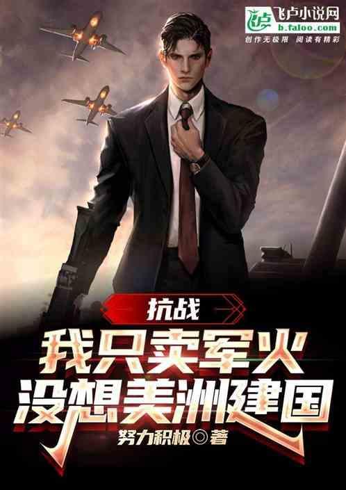 我在抗战卖军火