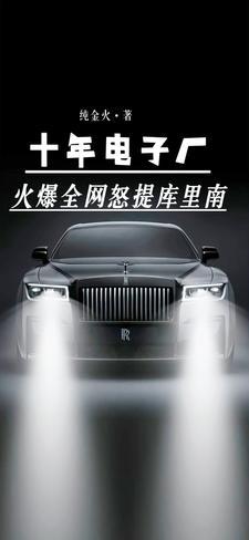 十年电子厂火爆全网怒提库里南这本书好看吗