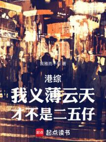 你管我叫二五仔无防盗