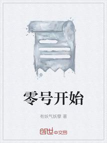 零号是什么东西