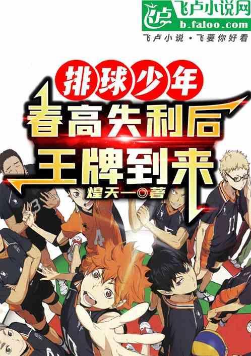 排球少年春高打到第几强啊