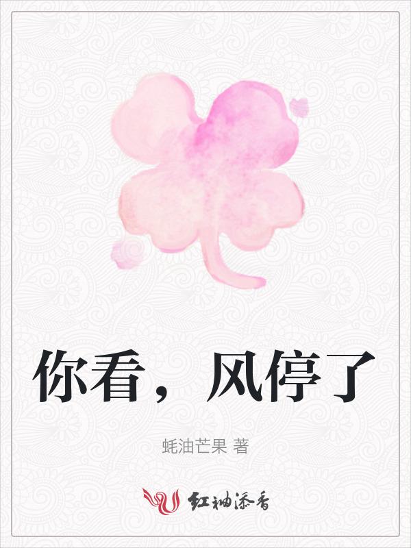 风停的时候带你去看海