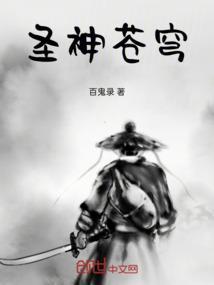 苍穹圣主哪里看