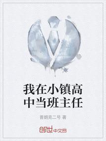 我在乡村当小学老师