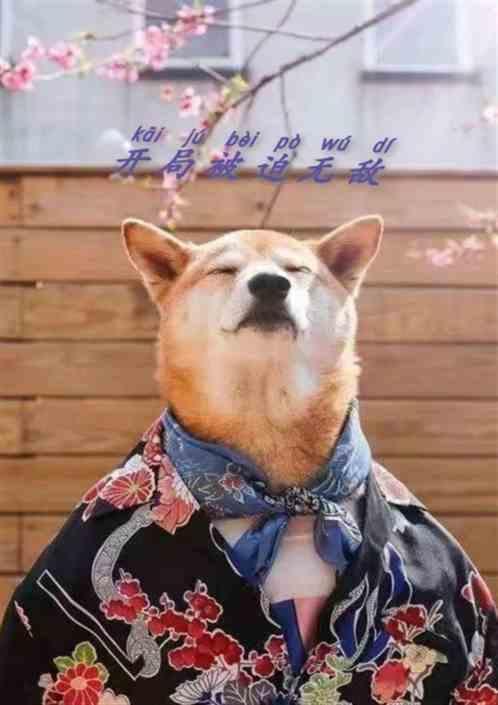 开局就被迫装x