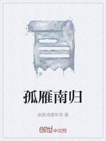 孤雁南飞什么