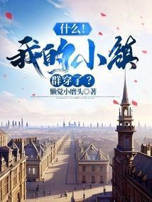 我的小镇城市全部