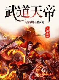 武道天帝目录