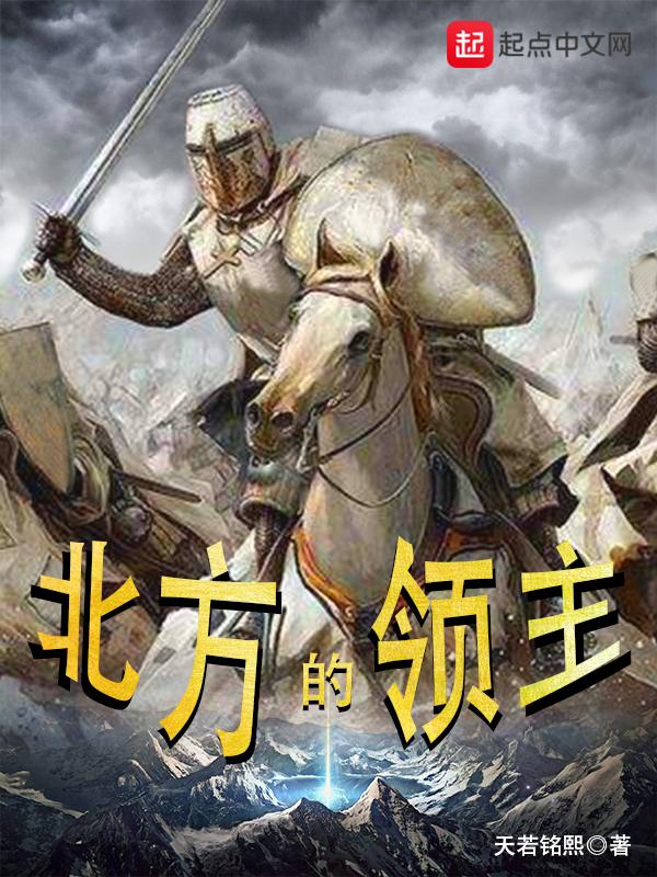 北方小领主txt