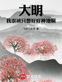 大明之我崇祯绝不上