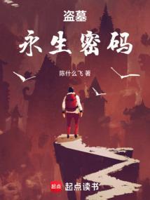 盗墓永生密码
