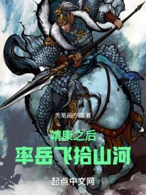 靖康之变时岳飞多大