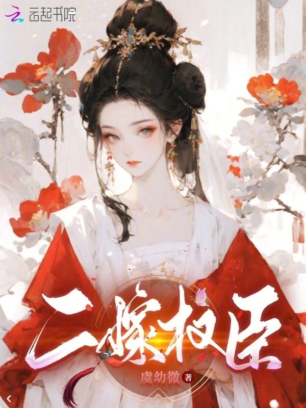 二嫁权臣番外