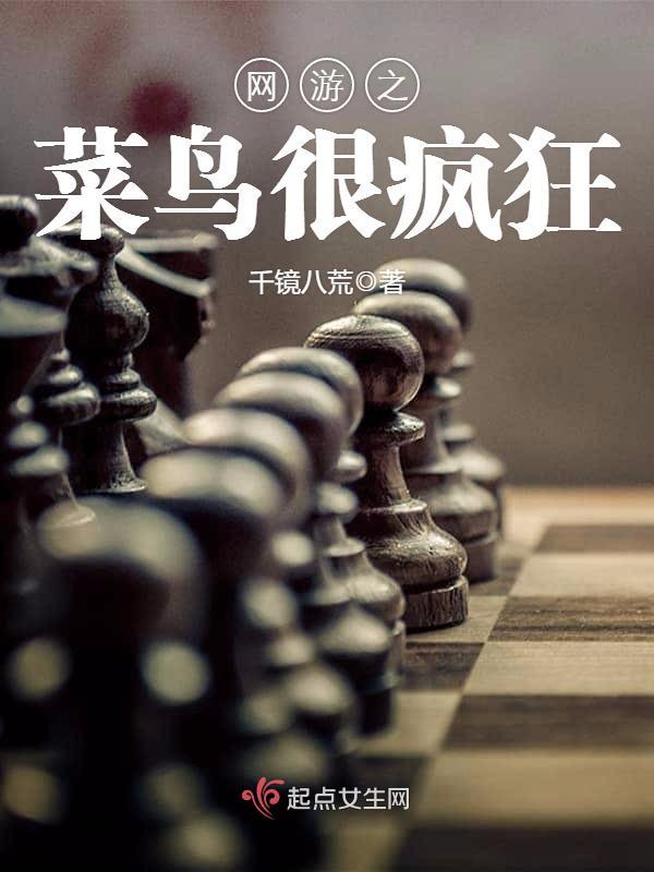 网游之菜鸟的乐趣