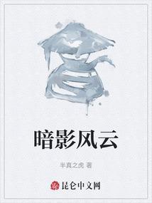 暗影风云唐晓翼