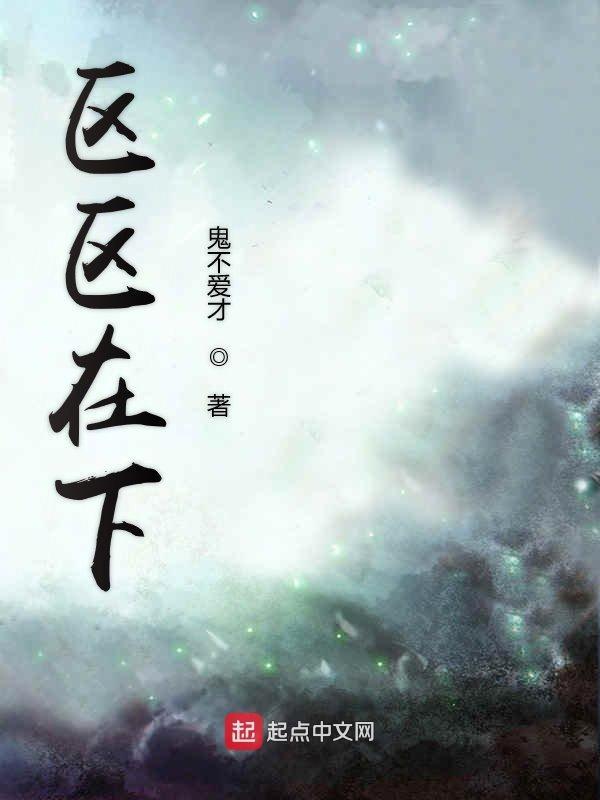 区区之地是什么意思