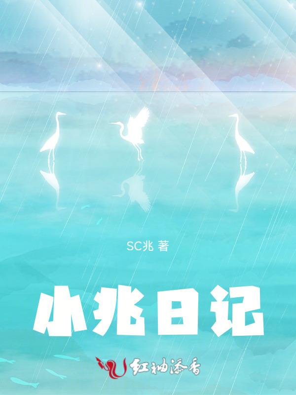 播放小日记