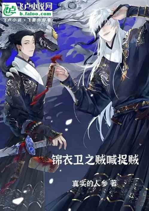 锦衣卫攻盗贼受