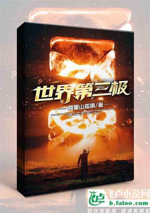 世界三大极是什么
