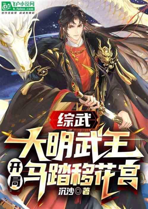 大明综武侠推荐