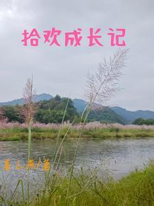 拾起成长的点滴600字