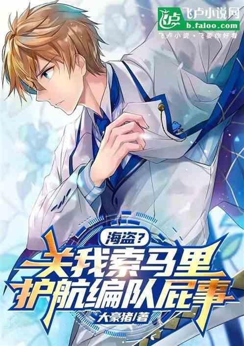 索马里海盗 护航