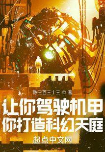 驾驶机甲的国产动画片