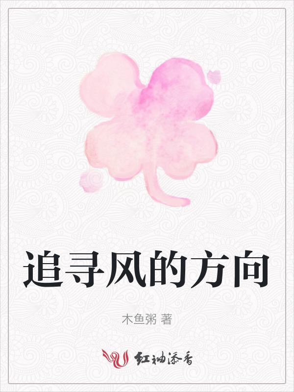 追寻风的脚步