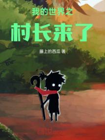我的世界村长视频