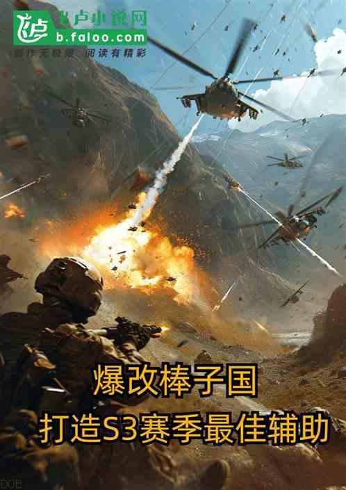 s3omg辅助