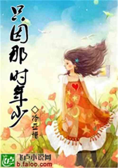 只因为是少年