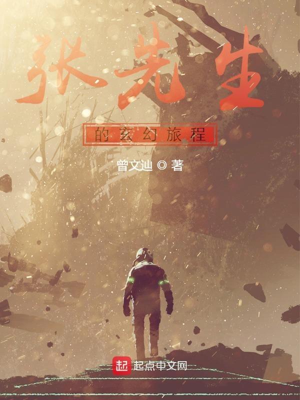 张先生和张先生前传写完了吗