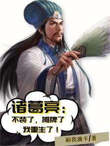 诸葛亮转世