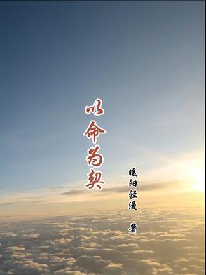 以命相抵是什么意思