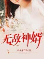 无敌神婿完整版