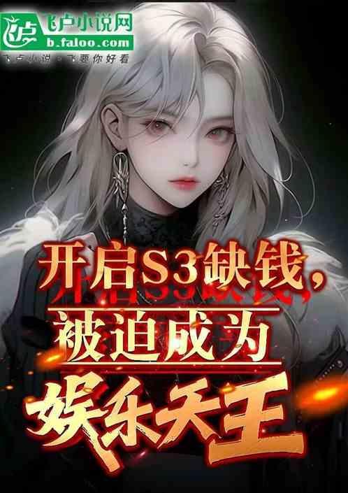 s3玩家啥意思