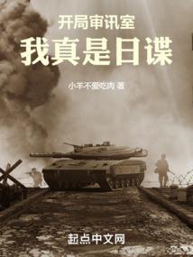 我真是间谍 起点