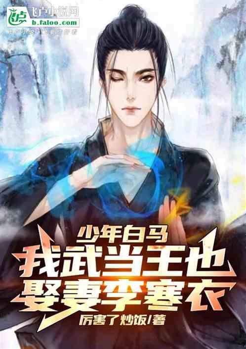 我想看武当少年