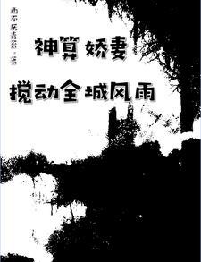 神算奇谈