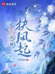 弱柳扶风的意思是什么意思
