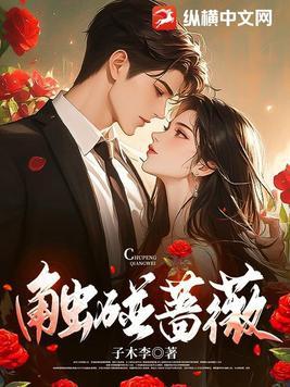 触碰蔷薇讲的什么