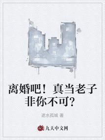 离婚吧!老子不干了