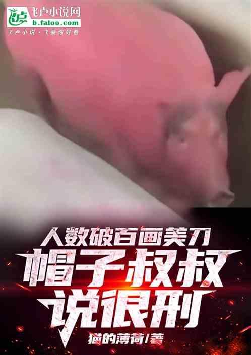世界上最漂亮的帽子