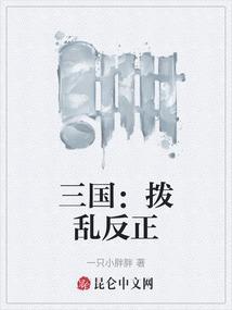 拨乱反正讲的什么
