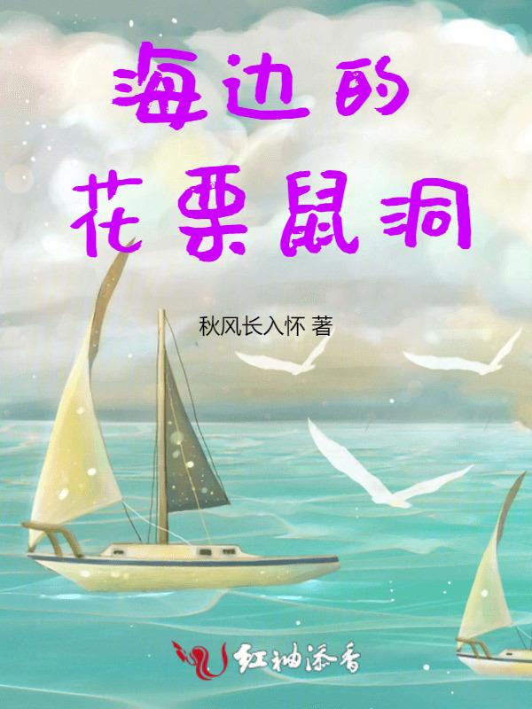 活泼可爱的花栗鼠视频