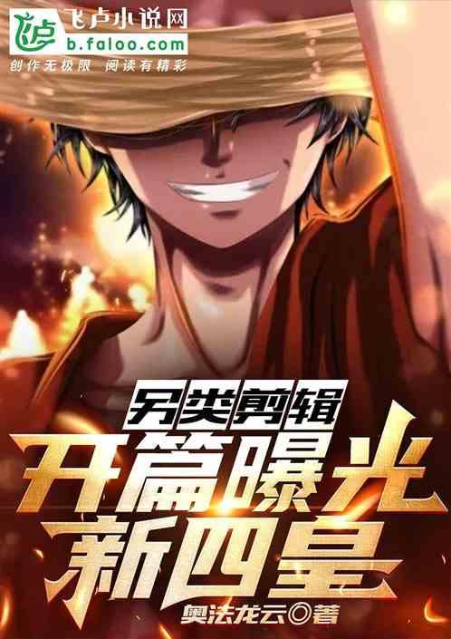 新四皇是什么意思