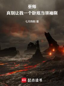 巫师真别让我一个卧底当领袖啊免费阅读