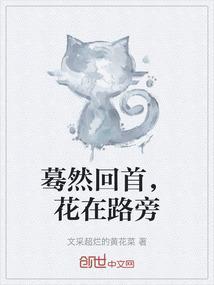 蓦然回首在天边什么歌