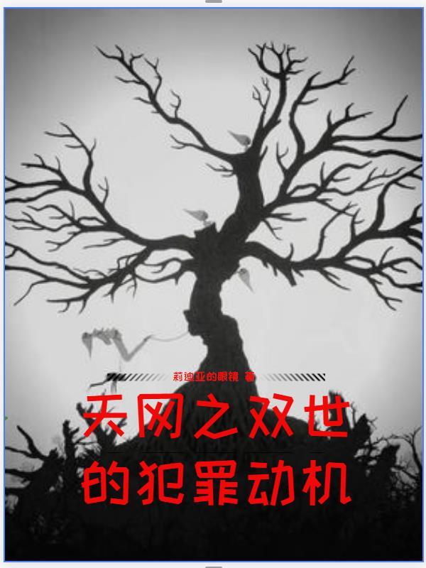天网双面盗贼下集