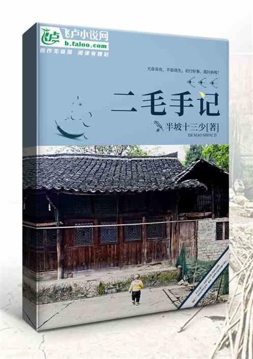 二毛是谁